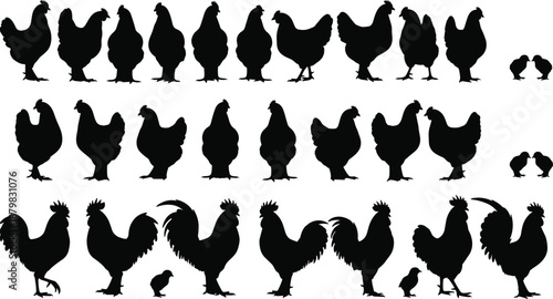 Black chicken and rooster silhouette icon set featuring hens, cocks, chicks, and poultry farm animals in clean minimalist flat design style