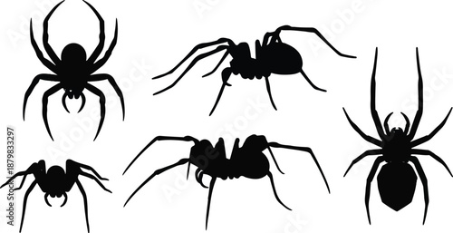 Spider walking silhouette bundle design. Wild spider vector design on a white background. Dangerous insects walking silhouette set vector.