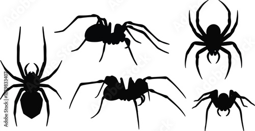 Spider walking silhouette bundle design. Wild spider vector design on a white background. Dangerous insects walking silhouette set vector.
