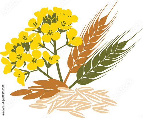 Grains and Oilseed Crops vector illustration of a branch of tree