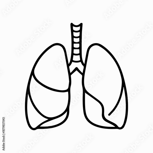 Human lungs line icon for medical, healthcare, and anatomy use