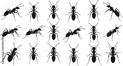 Collection of ant silhouettes in varied standing and walking poses arranged in grid pattern for insect illustration and entomology design