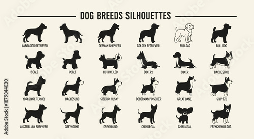 Collection of Black Dog Breed Silhouettes with Names for Commercial Use.