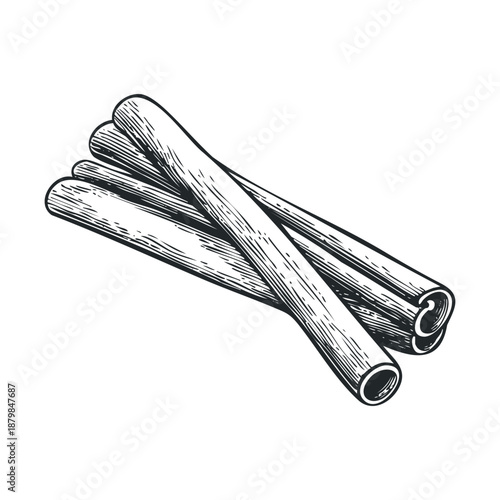 Rustic engraved cinnamon quills bundled together, suitable for traditional food branding, healthy living content, and seasonal beverage menus