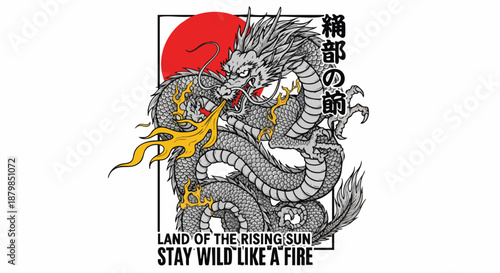 Japanese Dragon Fire Breath - Majestic Silver Dragon with Rising Sun & Kanji Text.