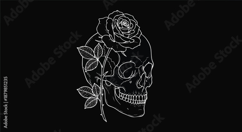 Minimalist line art of a white skull with a blooming rose and leaves on black background, vector illustration.