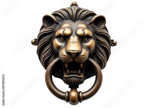 A close-up shot of a lion's head as a door knocker, ideal for home decor or architectural photography