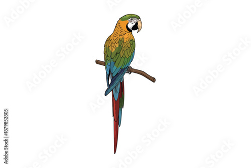 Vibrant macaw perched on a branch