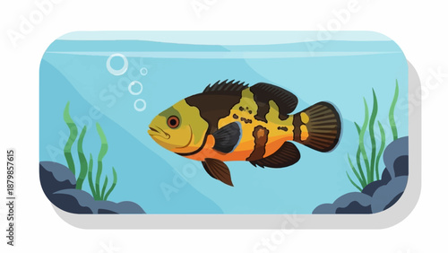 A colorful fish swims in a clear aquarium with aquatic plants and rocks