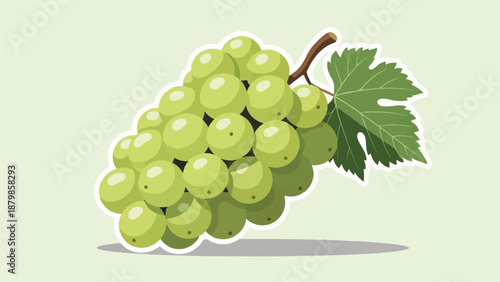 A cluster of green grapes with a leaf on a pale green background