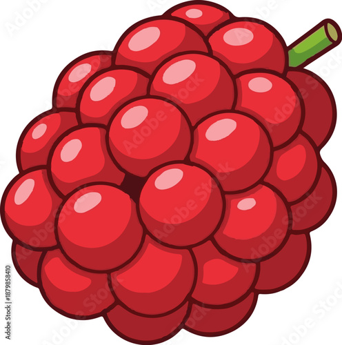 A cluster of ripe red berries with a green stem