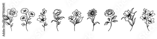 Floral set. Minimalistic vector illustrations of flowers and leaves. Elegant botanical elements for invitations, cards, or the design of various projects and posters.
