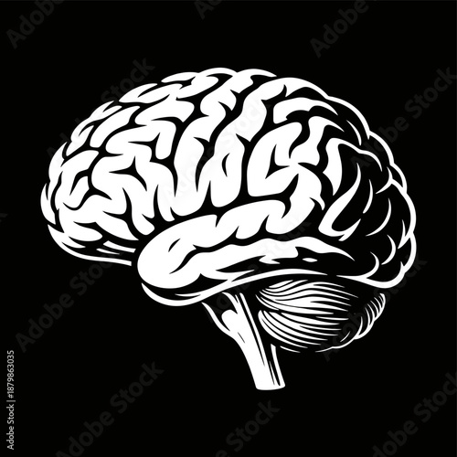 [Vector EPS]White Human Brain Illustration Showing Cerebral Cortex and Structure