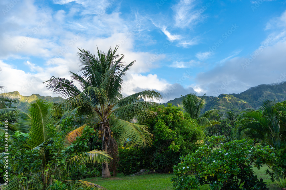 Naklejka premium Tropical greenery and coconut trees in Nuku Hiva, Marquesas Islands, French Polynesia