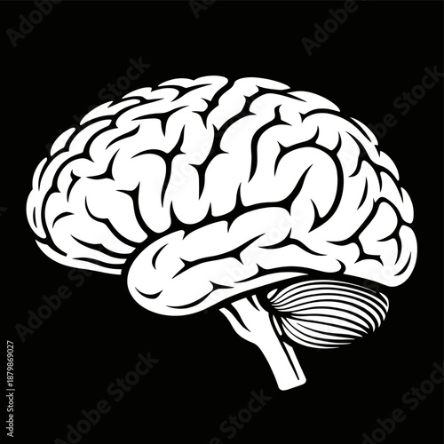 [Vector EPS]Illustration of a human brain showing different regions and structures