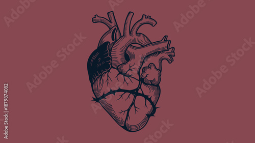Red background with detailed black and red heart anatomical medical
