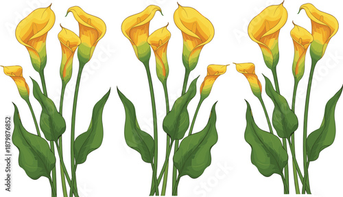 Yellow Calla Lily Flower Set With Green Leaves Elegant Botanical Spring Floral Vector Illustration