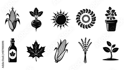 Agriculture icon silhouette set, farm elements, corn beet sun wreath leaf bottle plant, black vector symbols, organic nature collection design