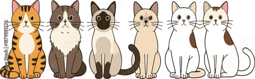Cute Cat Breeds Cartoon Vector Set with Different Fur Colors Sitting Poses for Pet and Animal Designs