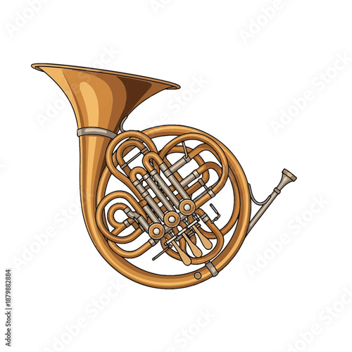 Detailed illustration of a French horn viewed from the side against a plain white background