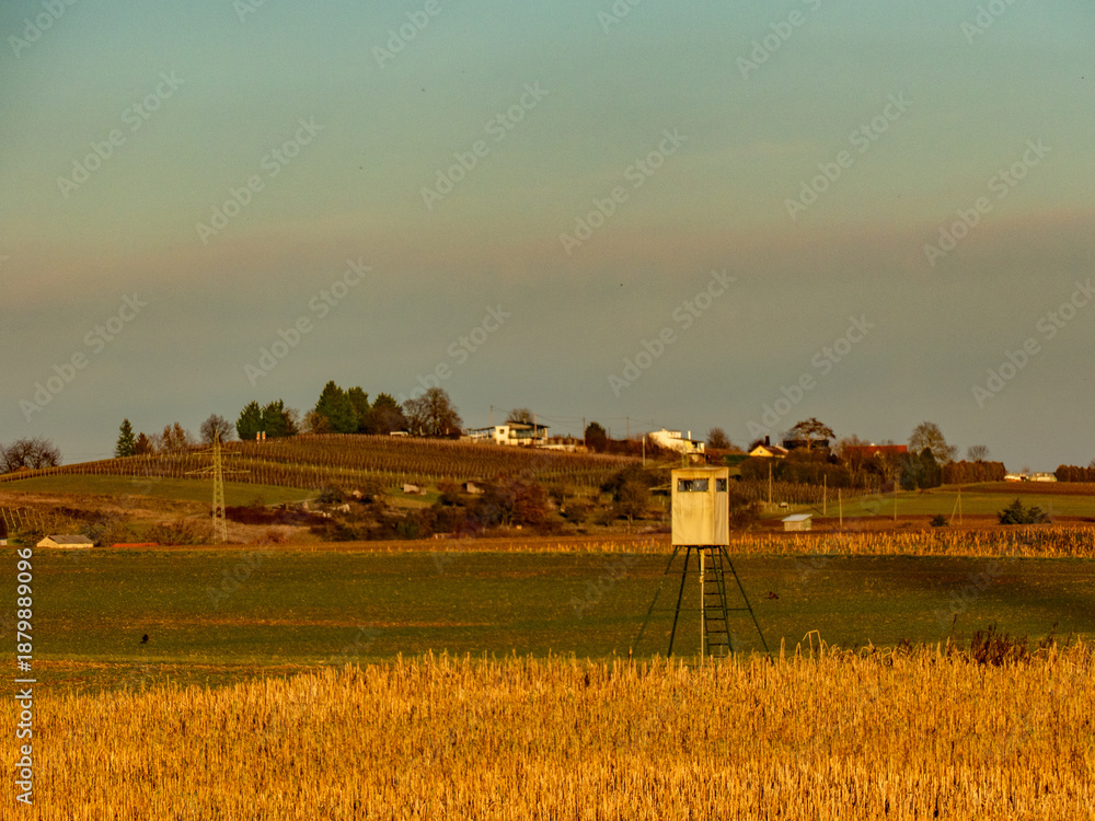 Fototapeta premium Hoch und Jägersitz im Feld