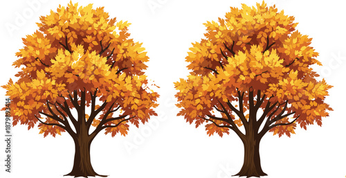 Set of two autumn maple trees with vibrant orange and yellow foliage, isolated on white background, seasonal fall nature vector illustration elements.