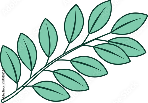 Eucalyptus Leaves Natural Illustration. Eucalyptus Leaves Botanical Design Concept. Eucalyptus Leaves Green Foliage Illustration. Eucalyptus Leaves Plant and Nature Design. Eucalyptus Leaves Herbal