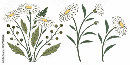 Seamless floral pattern illustration featuring a bouquet of white chamomile and daisy flowers with green leaves on a white wallpaper background for summer nature art and beauty decoration