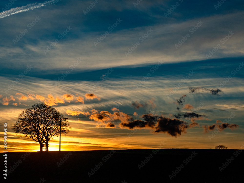 Naklejka premium Baum mit Hoch und Jägersitz bei Sonnenuntergang