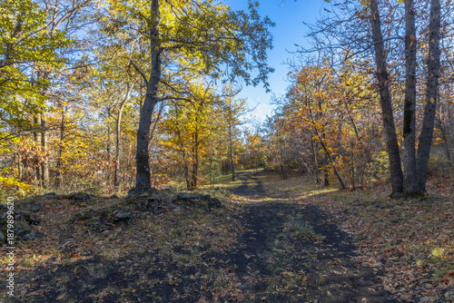 Serenity Trail in Etna Woods