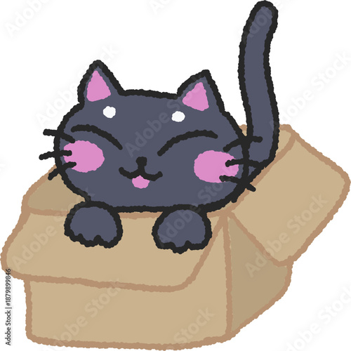 Black cat in the box