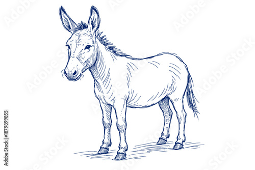 Detailed blue line art illustration of a standing donkey