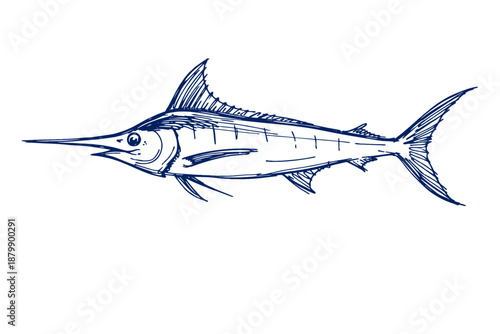 Hand-drawn blue marlin sketch in profile view with detailed line art