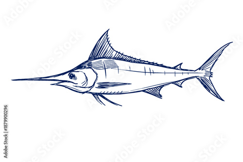 Detailed blue swordfish illustration on white background