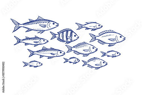 Hand-drawn fish school in blue ink: diverse marine life sketch