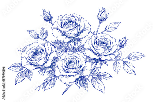 Intricate blue rose sketch with buds and leaves