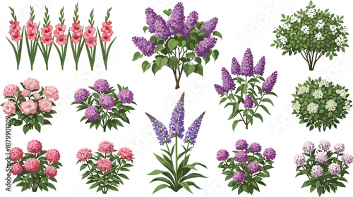Garden flower collection with lilac lavender and blooming shrubs, colorful botanical plant vector illustration set for spring nature design and floral decoration use