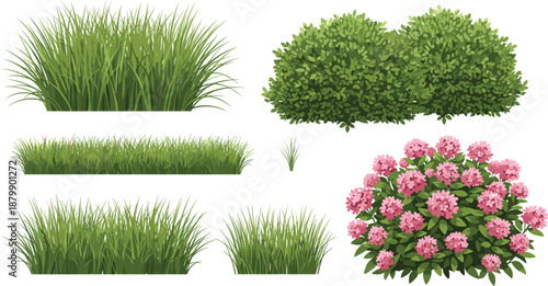 Garden grass and bush plants collection with green shrubs and flowering bushes, natural landscape vector illustration set for outdoor design, landscaping projects and nature backgrounds