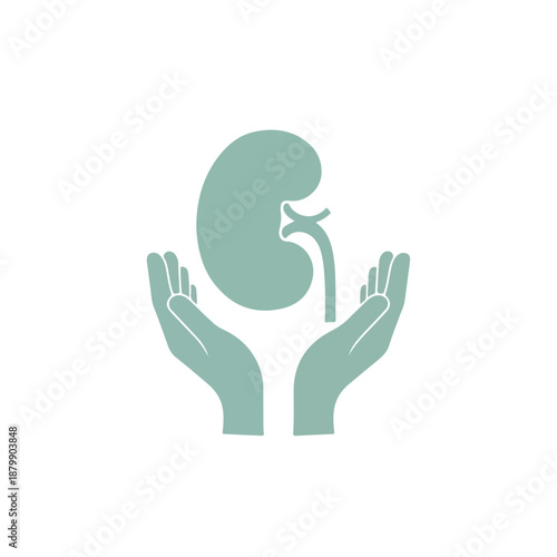 Kidney Care Hands Shelter Kidney Organ Illustration