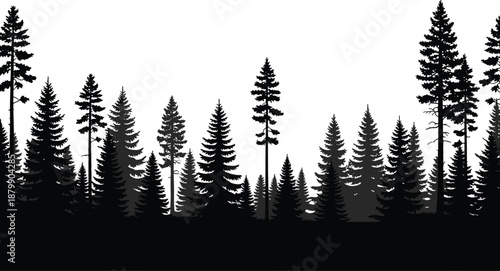 Black pine forest silhouette panoram design and outdoor vectorBlack pine forest silhouette panoramic background wispruce wood landscape isolated on white for mountain nature design and outdoor vector