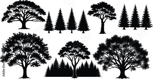 Collection of black silhouettes of deciduous and coniferous trees including oak pine and spruce isolated on white background for nature landscape