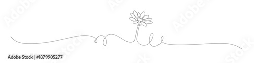 Continuous line art of a flower stem. Houseplant concept. This image is for a flower shop banner. Vector illustration.