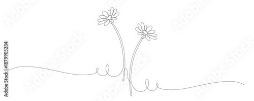 Continuous line art of two flower stems. Houseplant concept. This image is for a flower shop banner. Vector illustration.