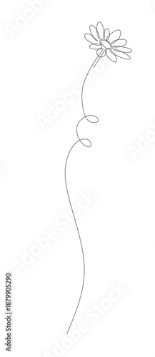 Continuous line art of a flower stem. Houseplant concept. This image is for a flower shop banner. Vector illustration.