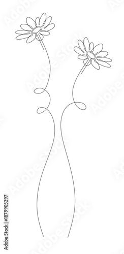 Continuous line art of two flower stems. Houseplant concept. This image is for a flower shop banner. Vector illustration.