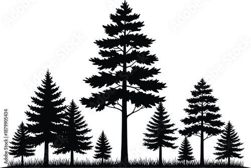 Set of black pine tree silhouettes and coniferous forest clusters featuring spruce and fir evergreens isolated on white background for mountain nature landscape design