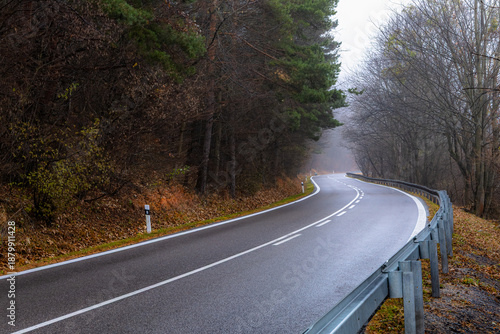 Photos A winding asphalt road bordered by guardrails leading through a mixed forest on a foggy autumn day