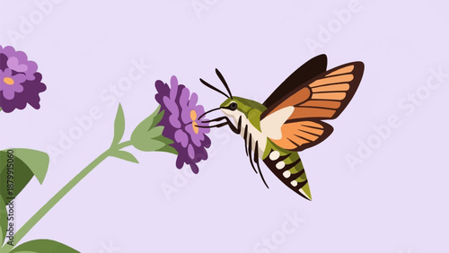 A stylized moth with orange wings sips nectar from a purple flower