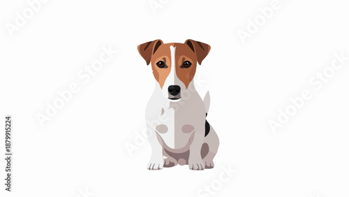 A small, cute dog with brown and white fur, sitting patiently