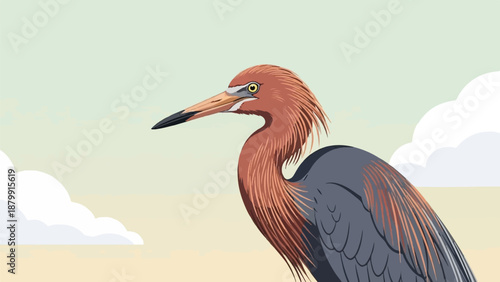 A reddish-brown heron with grey wings stands in a serene landscape